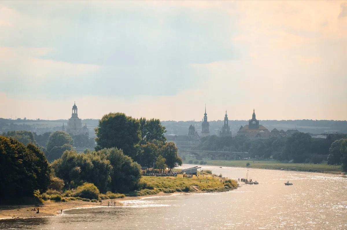 Leben auf den Dresdner Elbwiesen